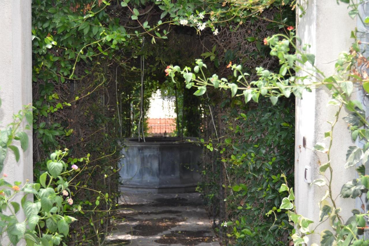 I Giardini Del Vesuvio Villa Somma Vesuviana Exteriör bild